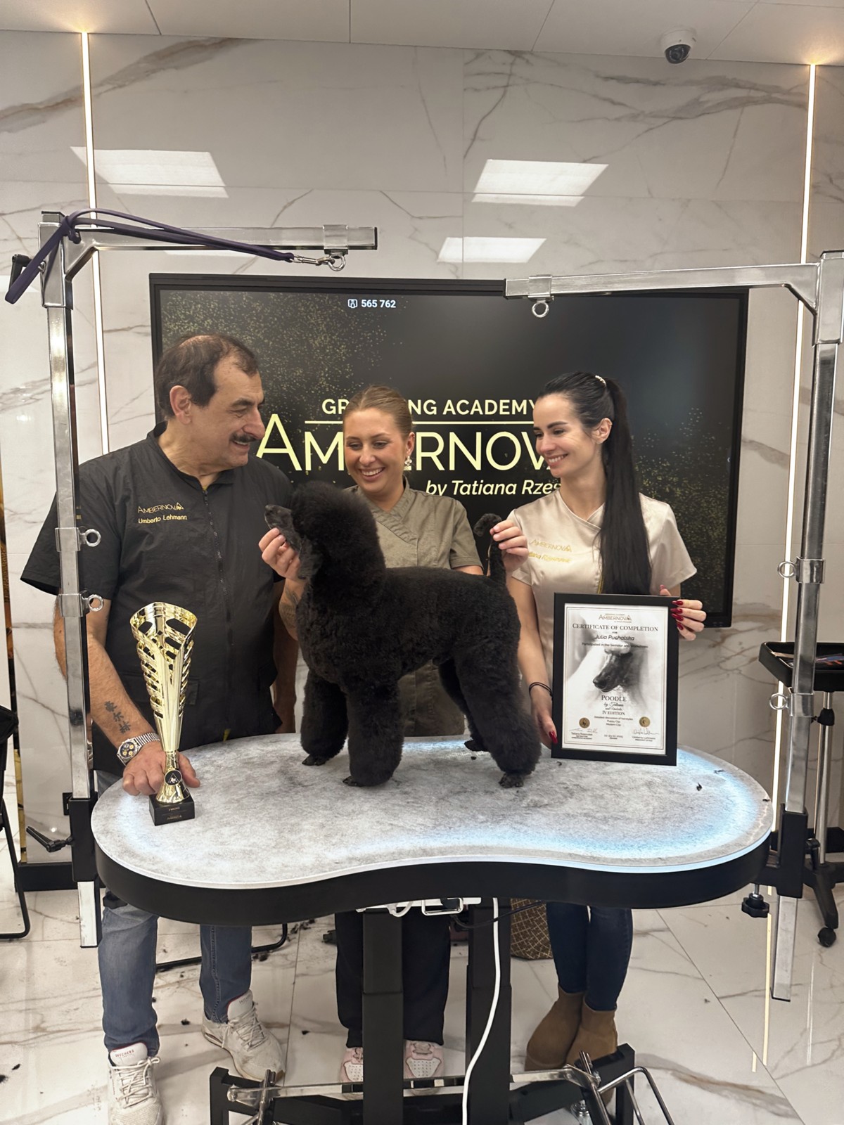 Julia med pudel under en groomingtävling